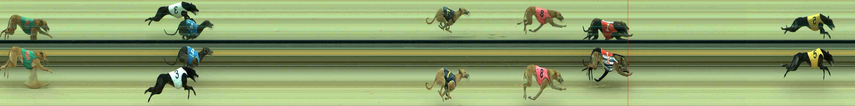 Race result finish photo